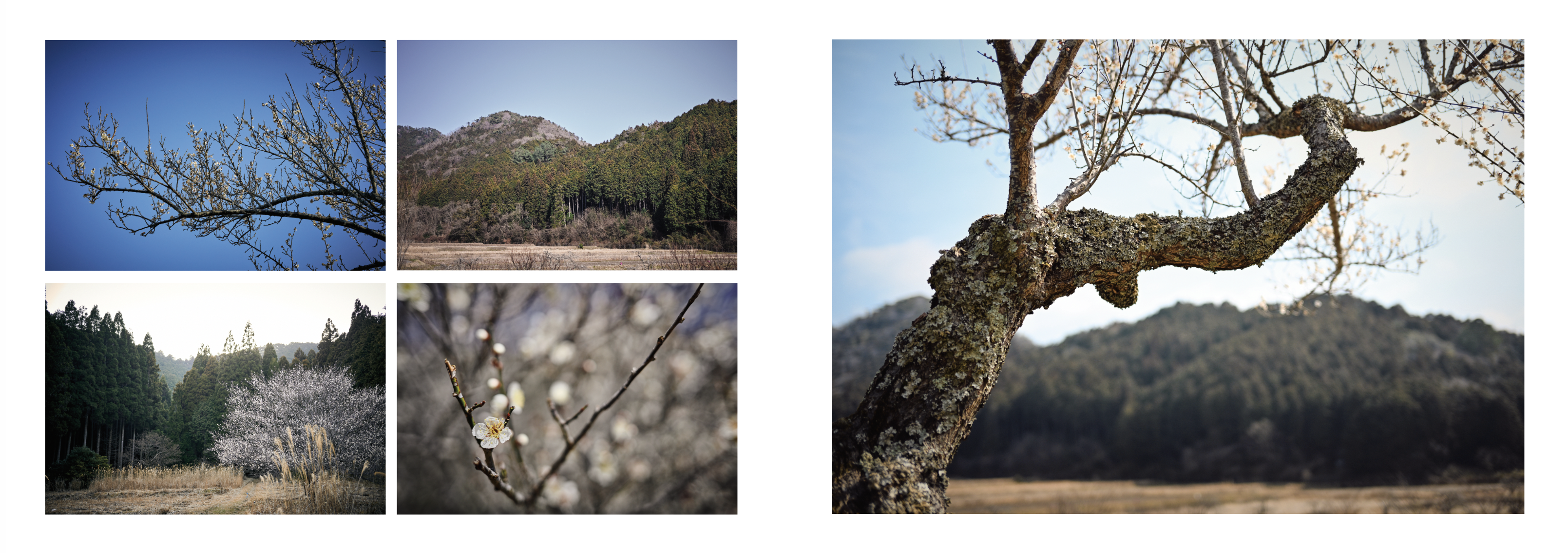 Island Blacksmith: Hand forged knives made on Vancouver Island from reclaimed materials, Satoyama scenes of rural Japan