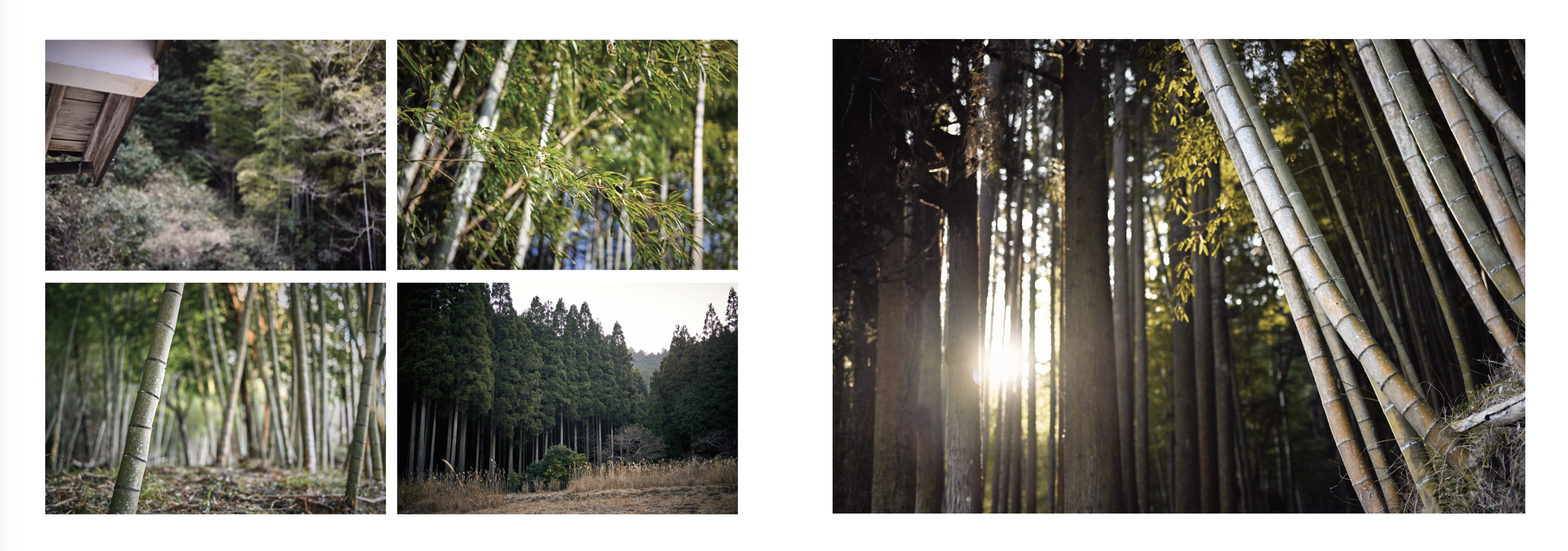 Island Blacksmith: Hand forged knives made on Vancouver Island from reclaimed materials, Satoyama scenes of rural Japan