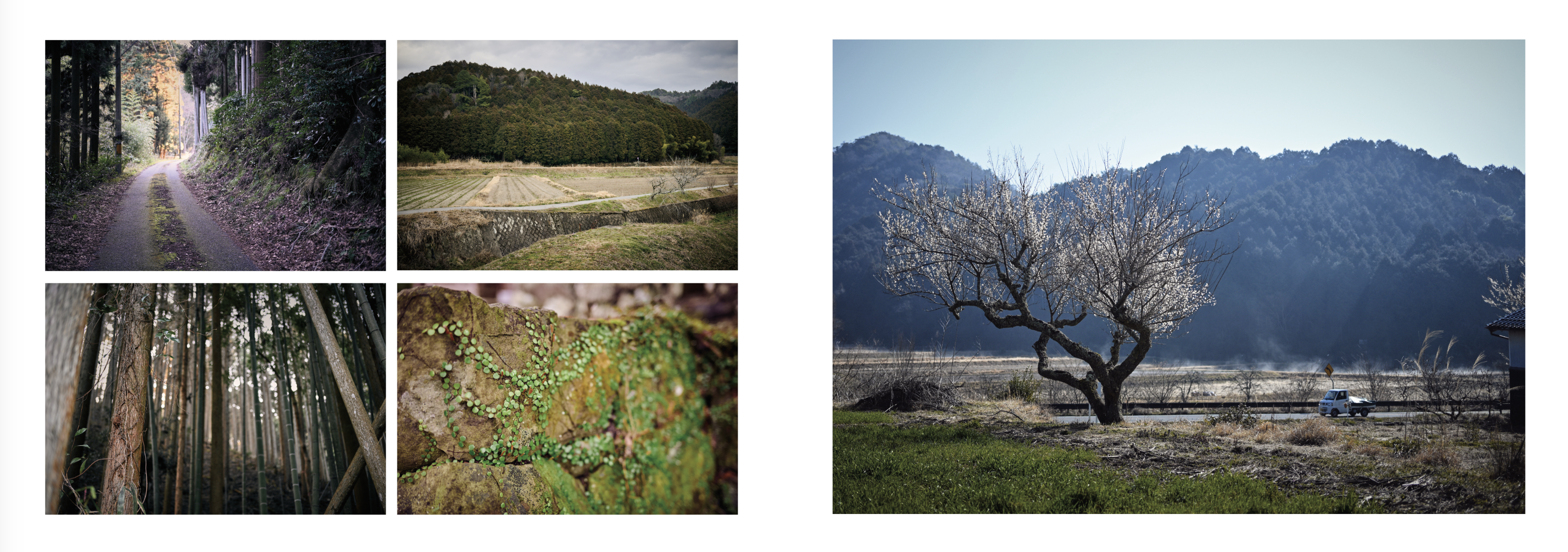 Island Blacksmith: Hand forged knives made on Vancouver Island from reclaimed materials, Satoyama scenes of rural Japan