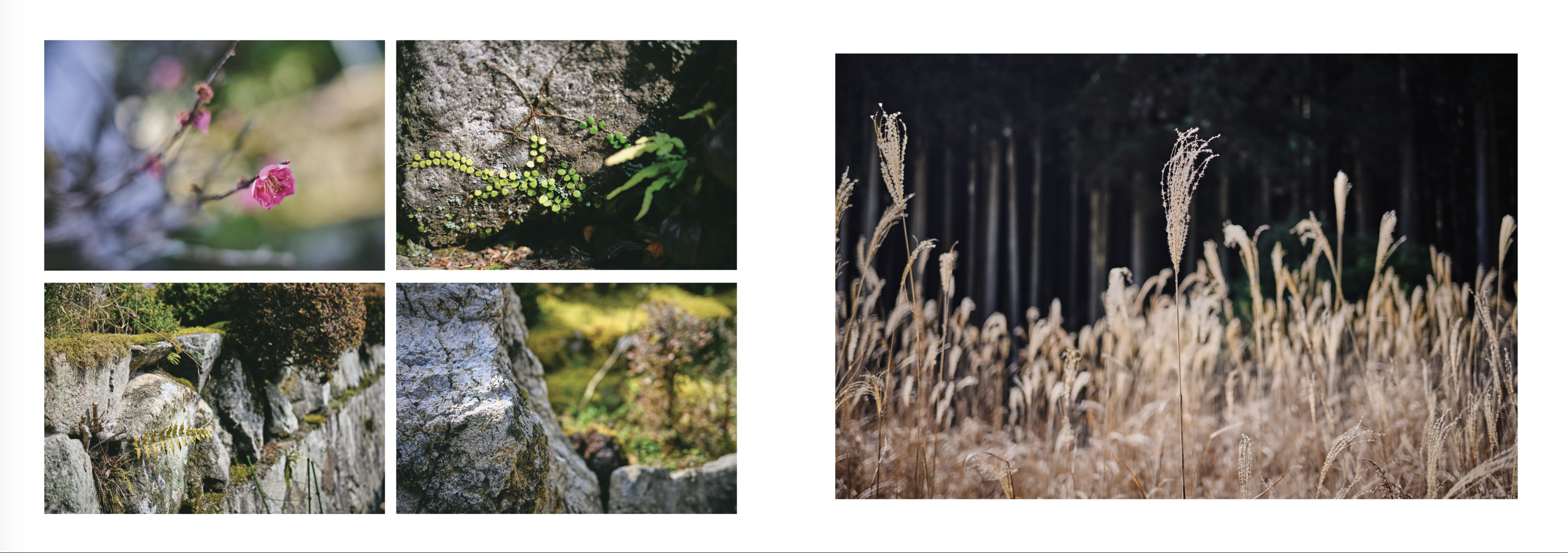 Island Blacksmith: Hand forged knives made on Vancouver Island from reclaimed materials, Satoyama scenes of rural Japan